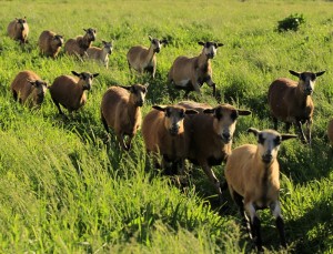 Fot. Katarzyna Kalinowska