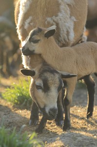 Fot. Katarzyna Kalinowska