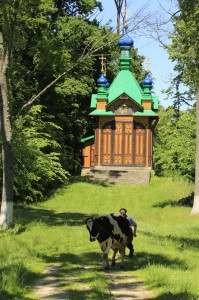 Fot. Katarzyna Kalinowska