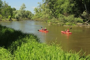 Fot. Katarzyna Kalinowska