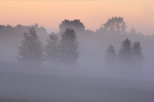 Fot. Katarzyna Kalinowska