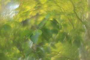 Fot. Katarzyna Kalinowska