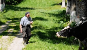 Fot. Zbigniew Kądzielski