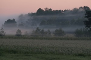 Fot. Zbigniew Kądzielski