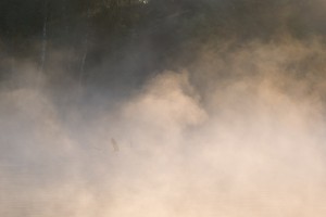 Fot. Zbigniew Kądzielski