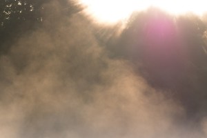 Fot. Zbigniew Kądzielski