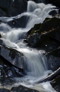 Fot. Małgorzata Marczuk