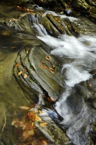 Fot. Małgorzata Marczuk