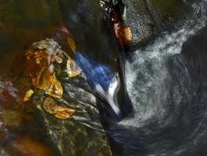 Fot. Małgorzata Marczuk