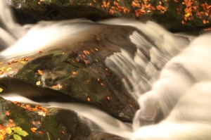 Fot. Beata Dziwulska