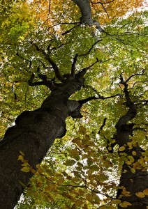 Fot. Barbara Czernek