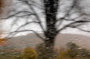 Fot. Barbara Czernek