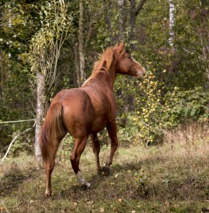 Fot. Barbara Czernek