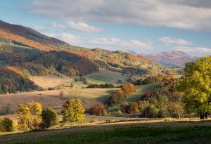 Fot. Barbara Czernek