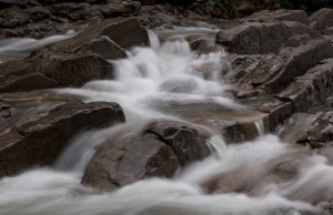 Fot. Barbara Czernek