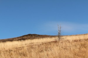 Fot. Beata Dziwulska