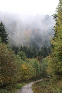 Fot. Beata Dziwulska