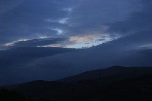 Fot. Bożena Czernicka