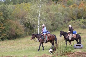 Fot. Bożena Czernicka