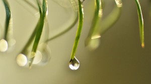 Fot. Małgorzata Kozak