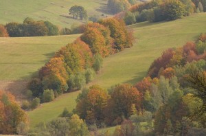Fot. Małgorzata Kozak
