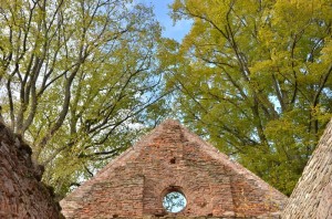 Fot. Małgorzata Kozak