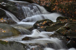Fot. Małgorzata Kozak