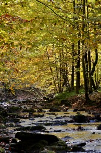 Fot. Małgorzata Kozak