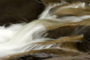 Fot. Katarzyna Kalinowska