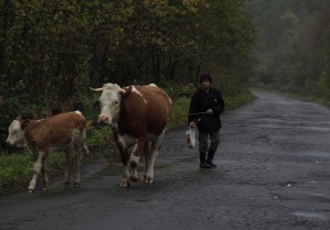 Fot. Katarzyna Kalinowska