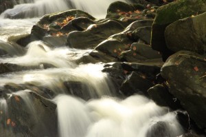 Fot. Katarzyna Kalinowska