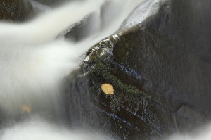 Fot. Katarzyna Kalinowska