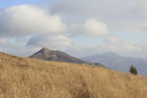 Fot. Katarzyna Kalinowska
