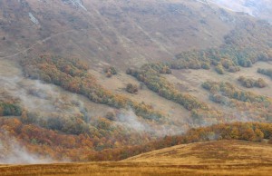 Fot. Małgorzata Głowacka