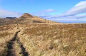 Fot. Małgorzata Głowacka