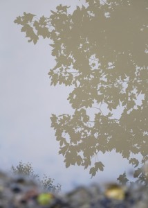 Fot. Małgorzata Głowacka