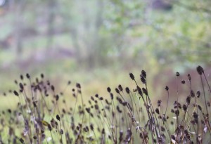 Fot. Małgorzata Głowacka