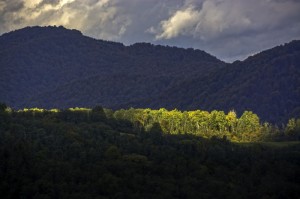 Fot. Marek Pochylski