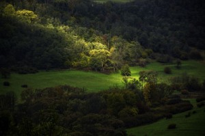 Fot. Marek Pochylski