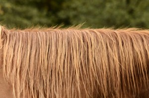 Fot. Małgorzata Marczuk