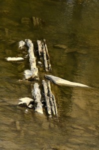 Fot. Małgorzata Marczuk