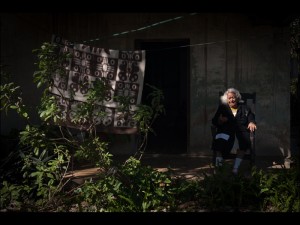 Fot. Agnieszka Kubera