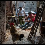 Fot. Agnieszka Kubera