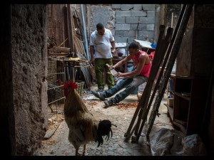 Fot. Agnieszka Kubera