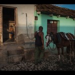 Fot. Agnieszka Kubera