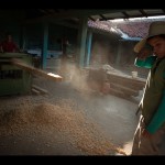 Fot. Agnieszka Kubera