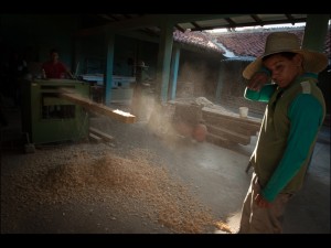 Fot. Agnieszka Kubera