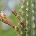 Fot. Małgorzata Kozak