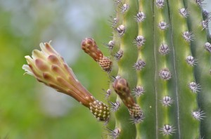 Fot. Małgorzata Kozak