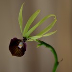 Fot. Małgorzata Kozak